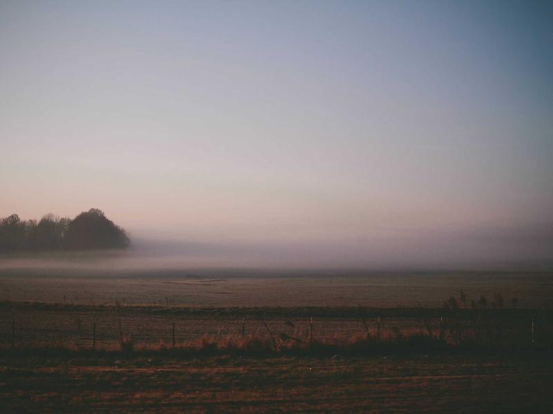 宿醉解药<br>yxepqio.cn 番茄汁加盐方